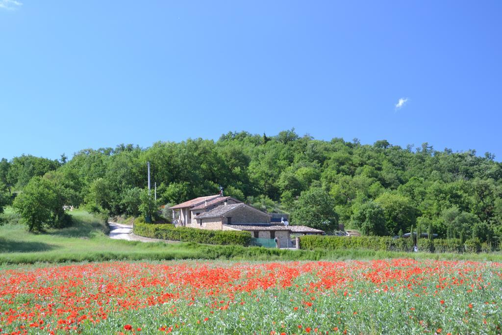 Castiglione della Valle Casa Nestore Holiday Apartments מראה חיצוני תמונה